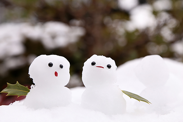 冬期講習のご案内｜大学受験英語塾　乾塾｜神戸市東灘区｜摂津本山駅、阪急岡本駅より徒歩数分